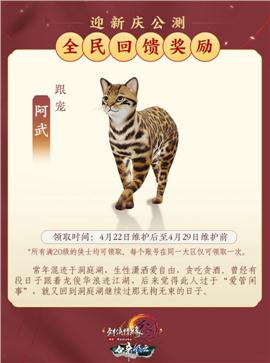 天龙八部私服机甲兽宠